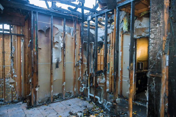 Professional Fire Damage Removal technician working in Clearwater, SC